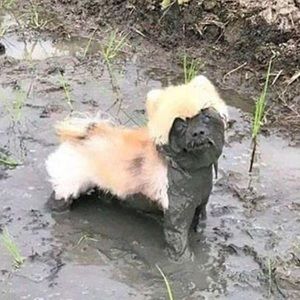 Meet your Posher, Breanna